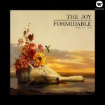 joy-formidable-wolfs-law